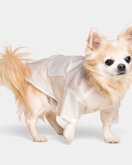 Perini Dog Raincoat - TANK TINKER