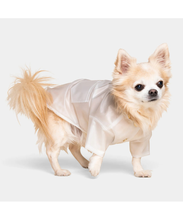 Perini Dog Raincoat - TANK TINKER