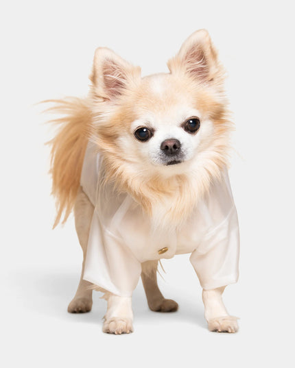 Perini Dog Raincoat - TANK TINKER