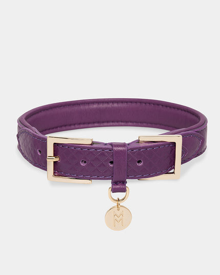 Da Piacenza Dog Collar - TANK TINKER