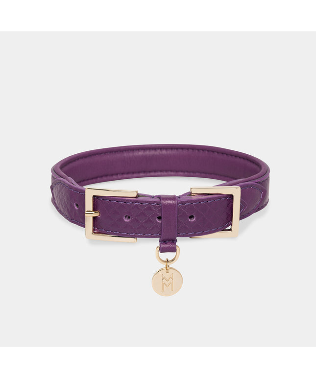 Da Piacenza Dog Collar - TANK TINKER