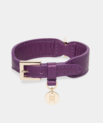 Da Piacenza Dog Collar - TANK TINKER