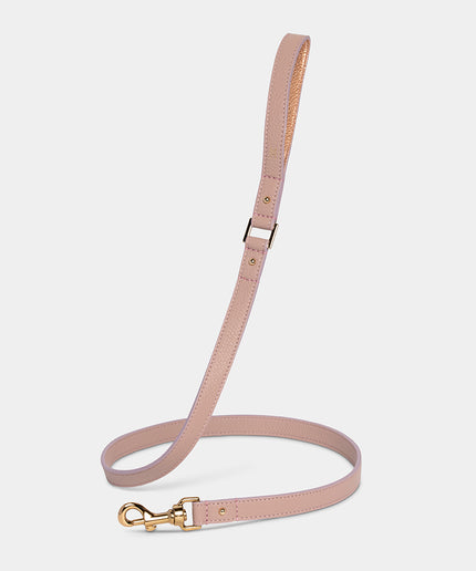 Taglioni Dog Leash - TANK TINKER