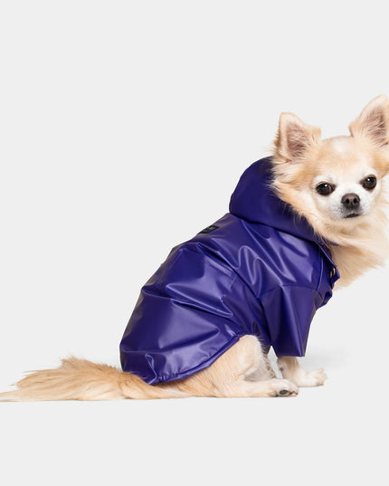 Perini Dog Raincoat - TANK TINKER