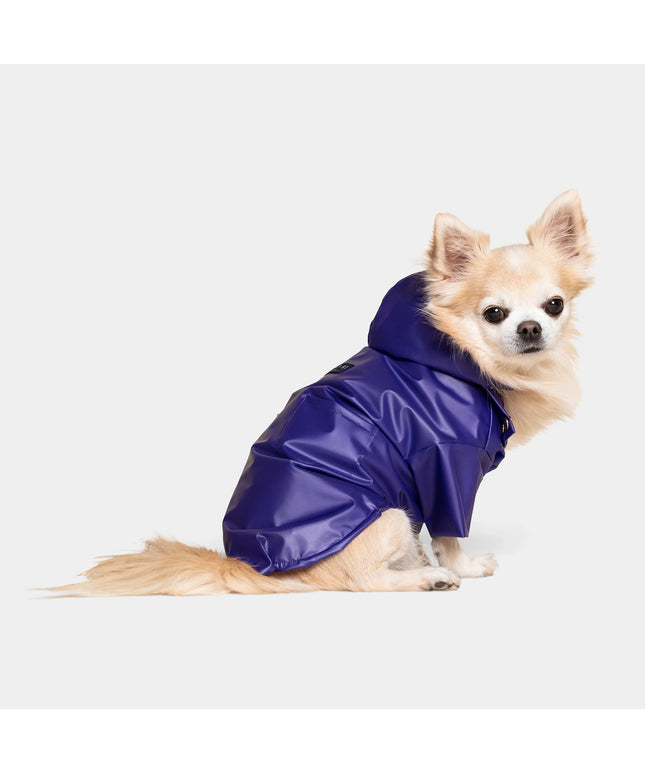 Perini Dog Raincoat - TANK TINKER