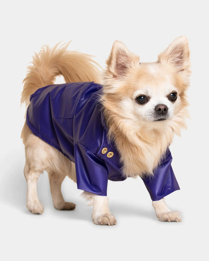 Perini Dog Raincoat - TANK TINKER