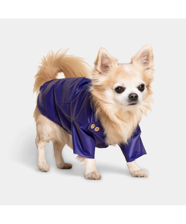 Perini Dog Raincoat - TANK TINKER