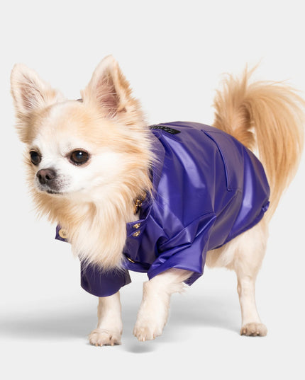 Perini Dog Raincoat - TANK TINKER