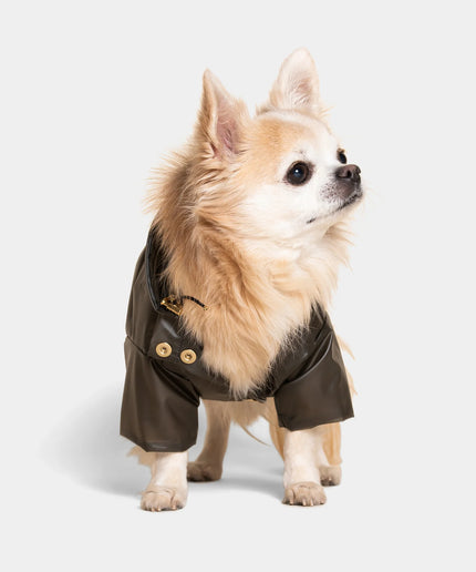 Perini Dog Raincoat - TANK TINKER