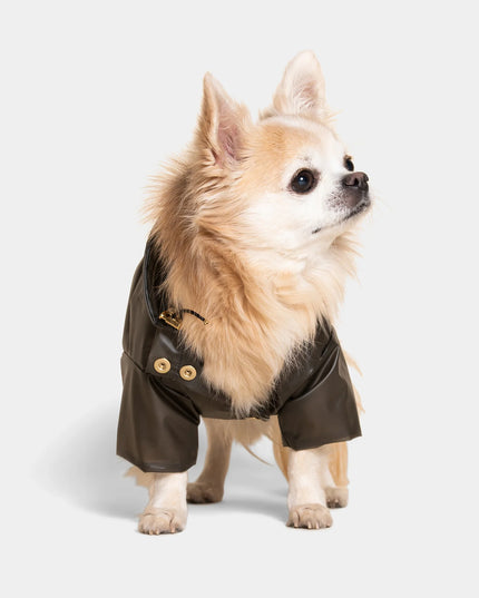 Perini Dog Raincoat - TANK TINKER