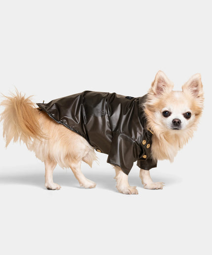 Perini Dog Raincoat - TANK TINKER