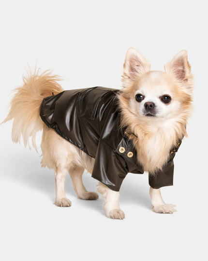 Perini Dog Raincoat - TANK TINKER