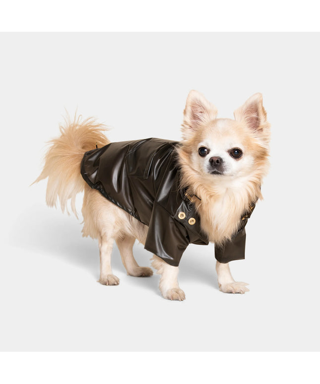 Perini Dog Raincoat - TANK TINKER