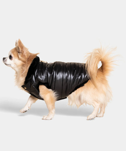 Cecchetti Dog Puffer Jacket - TANK TINKER