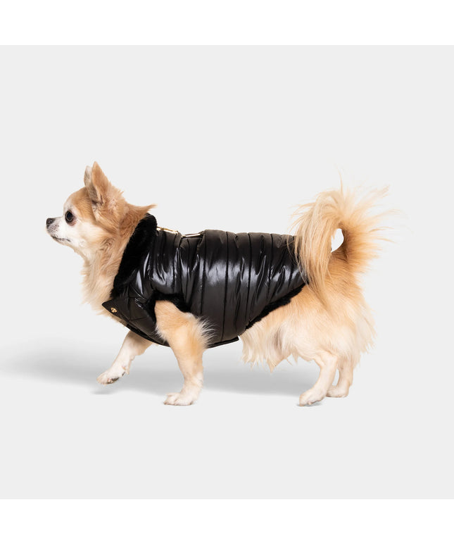 Cecchetti Dog Puffer Jacket - TANK TINKER