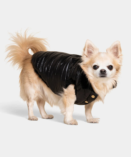 Cecchetti Dog Puffer Jacket - TANK TINKER