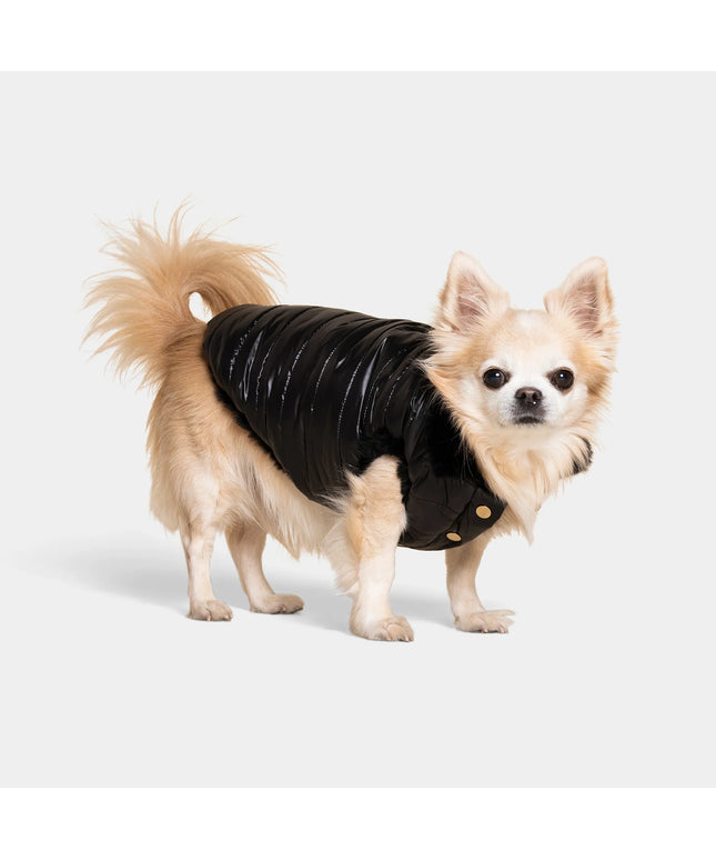 Cecchetti Dog Puffer Jacket - TANK TINKER