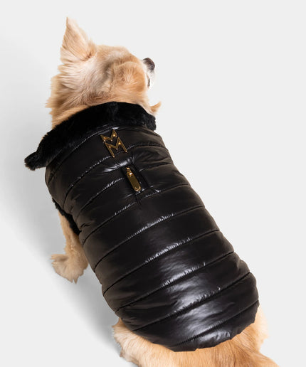 Cecchetti Dog Puffer Jacket - TANK TINKER