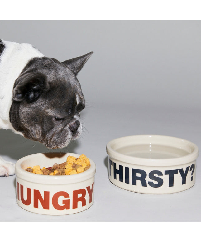 Hungry? Thirsty? Bowls - TANK TINKER