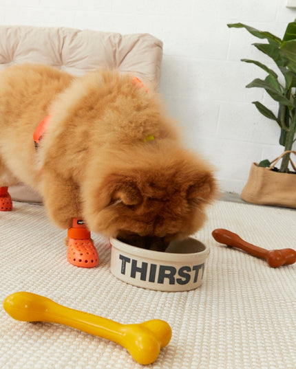 Hungry? Thirsty? Bowls - TANK TINKER