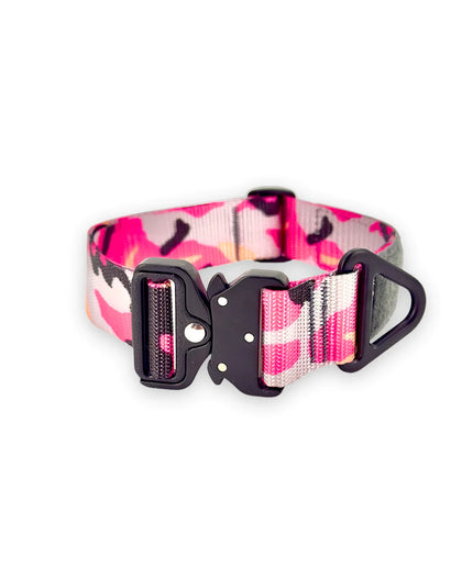 BCH Big Dog Collar Heavy Duty - TANK TINKER