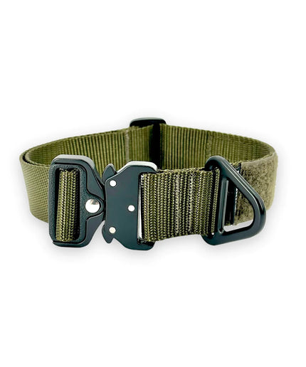 BCH Big Dog Collar Heavy Duty - TANK TINKER