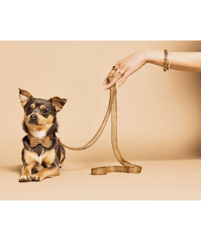 Bandettini Gold Coated Mesh Dog Leash - TANK TINKER