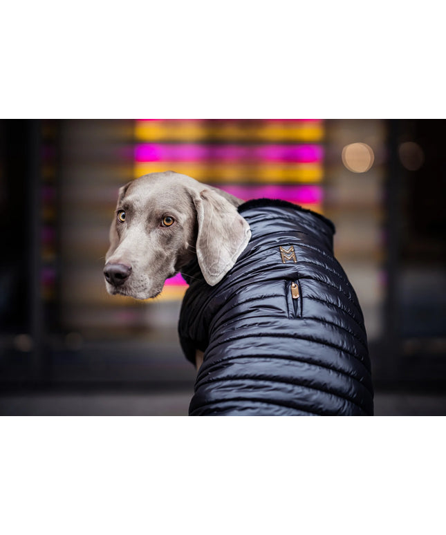 Cecchetti Dog Puffer Jacket - TANK TINKER