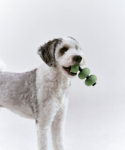 Dango - Nose work toy for dogs - TANK TINKER