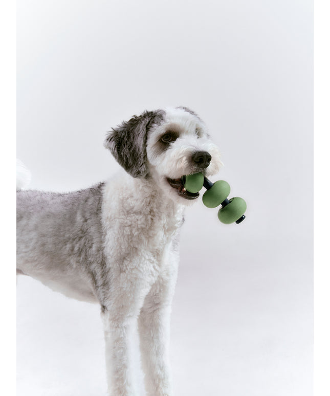 Dango - Nose work toy for dogs - TANK TINKER