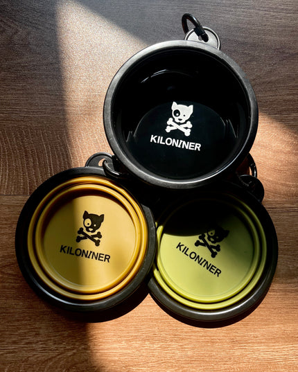 ชามน้ำพกพา CB1 Collapsible Dog Bowls - TANK TINKER