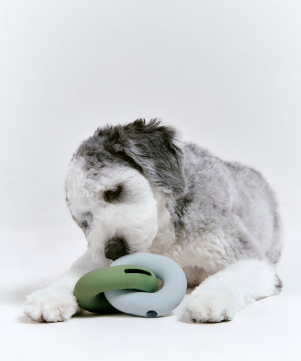 Gori - Nose work toy for dogs - TANK TINKER