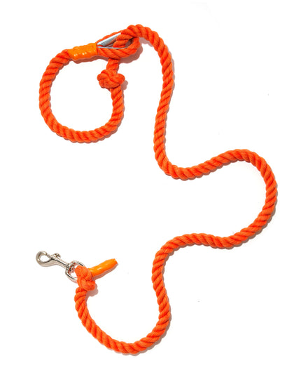 Nautical Knot Leash - TANK TINKER