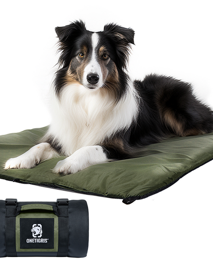 DOG SLEEPING MAT 05 - TANK TINKER