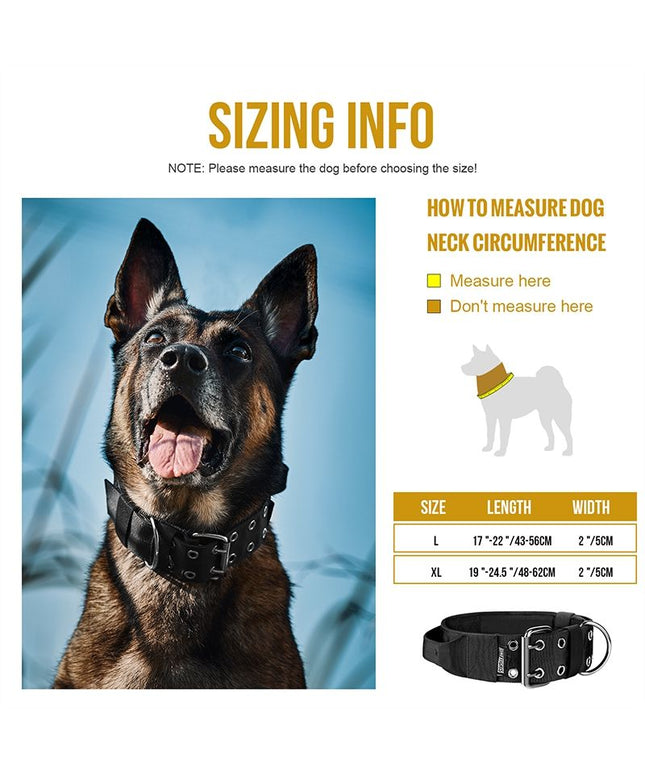 DOG COLLAR 12 - TANK TINKER