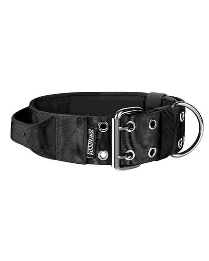 DOG COLLAR 12 - TANK TINKER