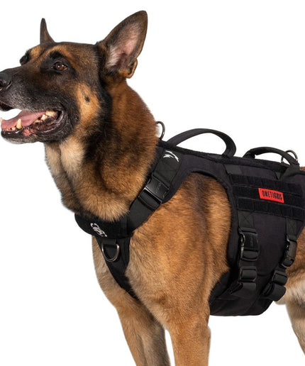 METALL K9 HARNESS - TANK TINKER