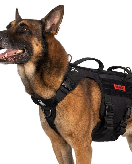 METALL K9 HARNESS - TANK TINKER