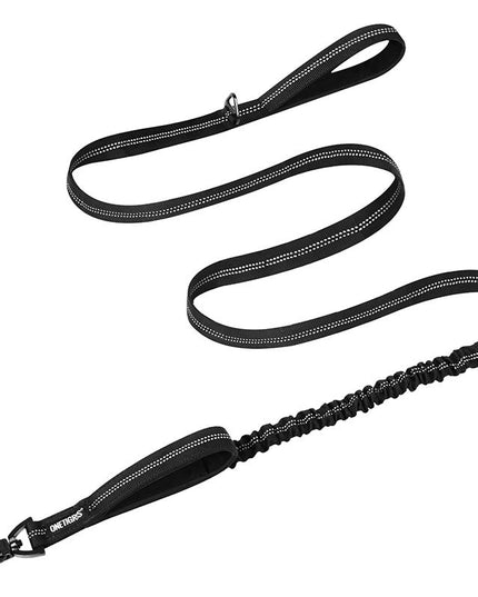 DOG LEASH 22 - TANK TINKER