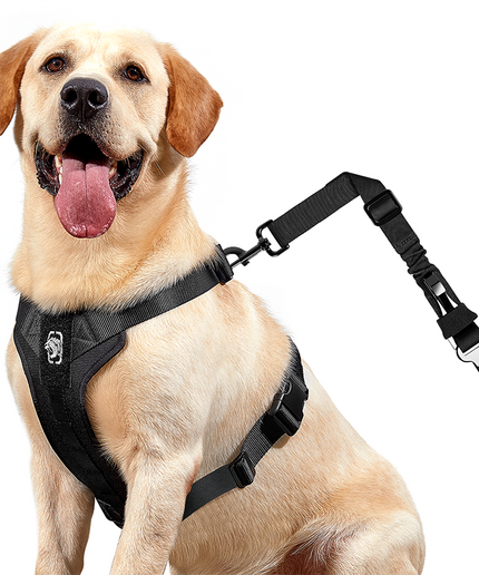 REX Car Use Dog Harness - TANK TINKER