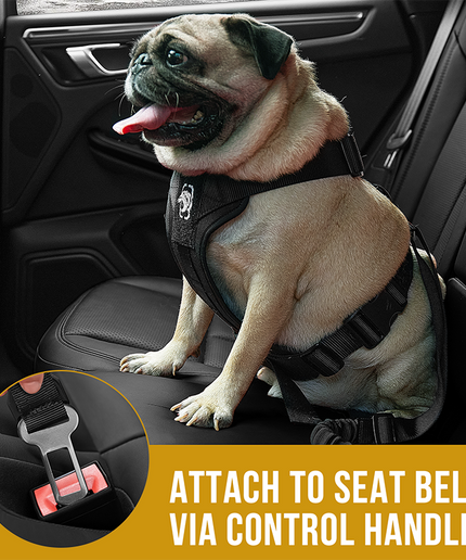 REX Car Use Dog Harness - TANK TINKER