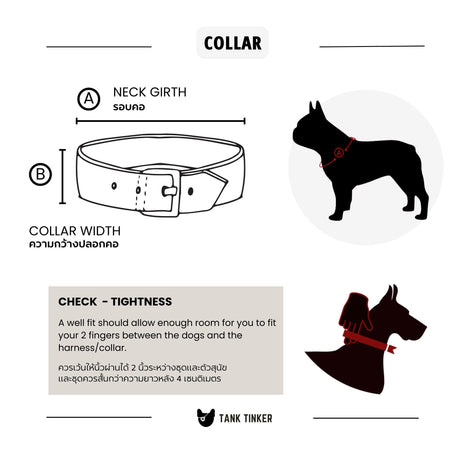 how-to-measure-collar.jpg__PID:e902f251-4a09-46b7-a0fc-b4fb18185cae