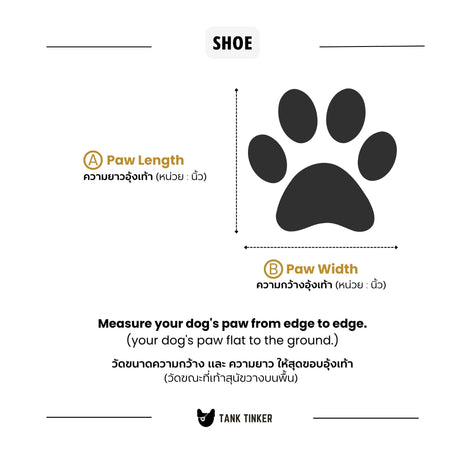 how-to-measure-paw.jpg__PID:9cb2d416-d9b7-4307-a42d-5d6ffc2c9329