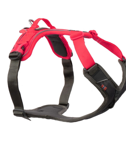 Ramble harness