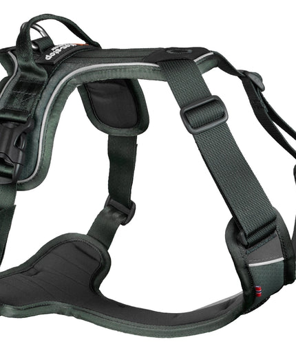 Ramble harness