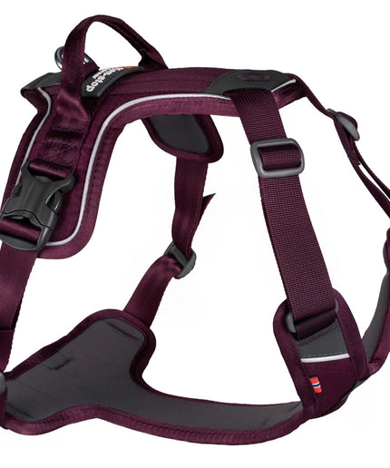 Ramble harness