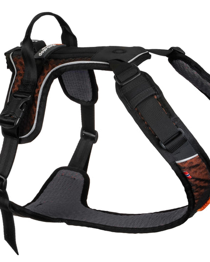 Rock harness