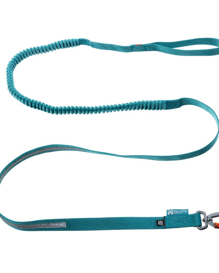 Touring bungee leash