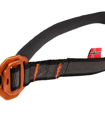 Touring bungee adjustable leash