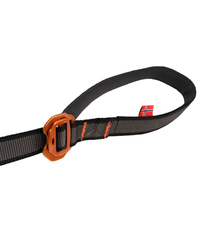 Touring bungee adjustable leash